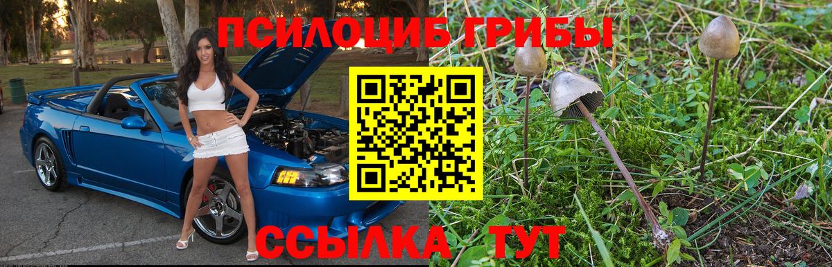 Конаково  Галлюциногенные грибы Cubensis  Вход с VPN  Псилоцибиновые грибы ЛСД 